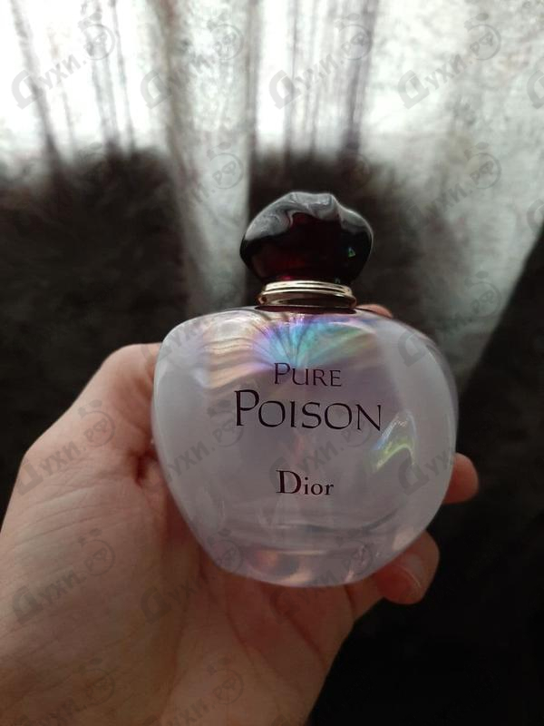 christian dior poison pure